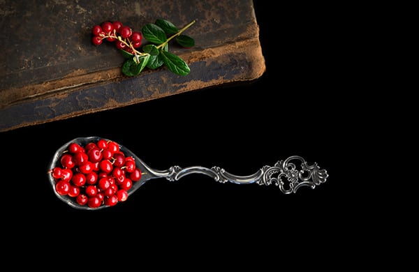 LINGONBERRY: THE SCARLET ARCTIC TREASURE